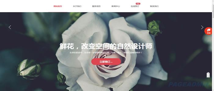 鲜花网站模板.jpg